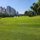 지와이팜 이미지