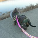 룰루랄라 이미지