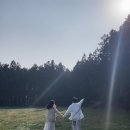 (유)알리고렌트카 | [조인우스] 신혼쀼 제주여행!