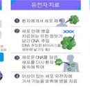 지정29 이미지