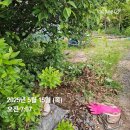 정하목장 이미지