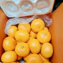 두식농원 이미지