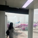 예지슈퍼자판기 | 오사카 4박5일 1일차 (유니클로 GU 난바시티점 토미타 규카츠)
