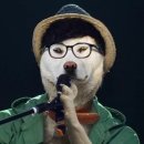 범수
