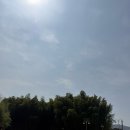 현지네 농원 | 순천 닭구이맛집, 순천 또간집 대숲골농원 주차 예약 메뉴 야외테이블 후기