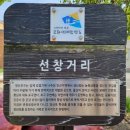 나주 영산포 근대거리(홍어의 거리&amp;죽전골목)와 영산강 체육공원 유채축제2022.04.16