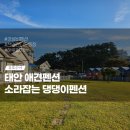 바우개펜션 | 태안애견펜션 소라잡는댕댕이 해루질 천연잔디 수영장 내돈내산솔직후기
