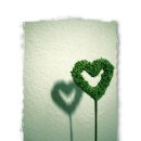 아름다운날 이미지