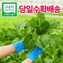이조은주식회사 이미지