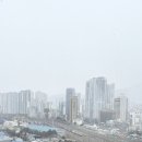 날신하담 대연 네이버블로그