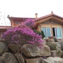 산마루황토 이미지