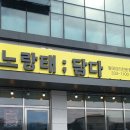 노랑태;담다
