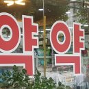 한독큰약국 쿠키뉴스