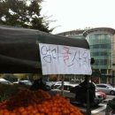 사와 이미지