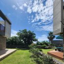 신트라움 이미지