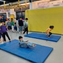 용인대 블랙벨트 태권도장 이미지