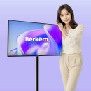 티비
