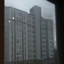 손 끝으로 빛나는 유리공예 | 천안 청당동 유리창 청소 전문 업체 &#39;꼼꼼한 남자&#39; 거실창 깔끔 청소 후기 🫧👍🏻