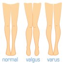 원종중앙시장 이미지