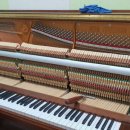 하늘피아노학원 이미지