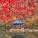 내장산관광안내소 | 내장산 단풍 실시간 우화정 단풍터널 내장사 셔틀버스 주차