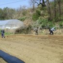 화평농장 이미지