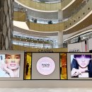 코코뷰티(COCO) | 샤넬 뷰티 루쥬 코코 샤인 라디오 샤인 FM 이벤트 후기, 신제품 루쥬 코코 글로스 립글로스! 샤넬...