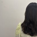 다루다헤어프로젝트 이미지