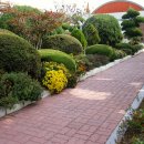 천서초등학교 이미지