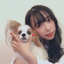 아이카