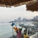 진짜개맛집 이미지