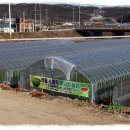 오금4리 이미지