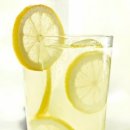 레몬트리 이미지