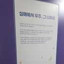 플레이그라운드울진점 | 울진 국립해양과학관 아이와 직접 다녀온 생생한 관람 팁 정리