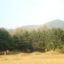 사월2리 이미지