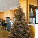 오천리 복숭아 판매조합 화장실 | 제주 서귀포 예래동 오션뷰 카페｜올레길 8코스 팔길 화이트슈페너·크로플 내돈내산 후기