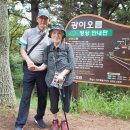 숲속의 붉은 환영, 한라수목원 이미지