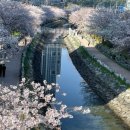 동삼지구대 이미지