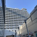 펫 뜰 | 세인트존스 강릉 강아지 동반 후기｜보리건빵이와 함께한 펫 프렌들리 숙소 리뷰