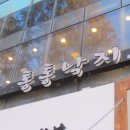 최강낙지 이미지