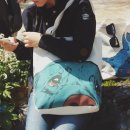 반려하다 이미지