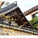 밀양향교 이미지