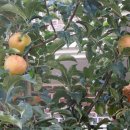 구원 경로당 이미지