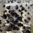 반석농장 이미지