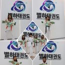 별하태권도 네이버블로그