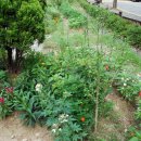 3.1운동비 이미지