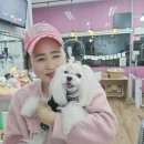 윤퍼피살롱 네이버블로그