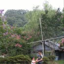 반구대팜스테이 이미지