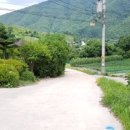 강림면350 이미지