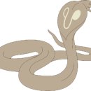 코브라요가